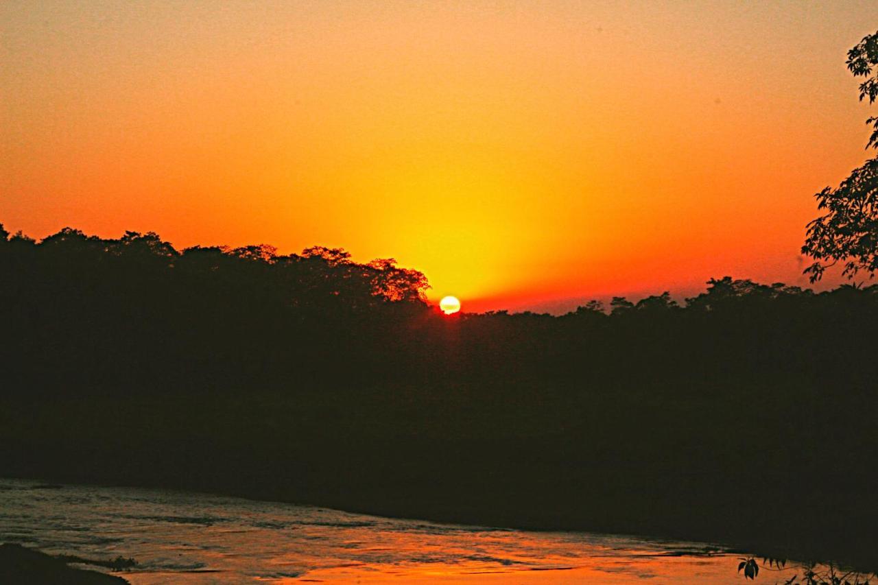 Tiger Corner Inn Homestay Sauraha Bagian luar foto