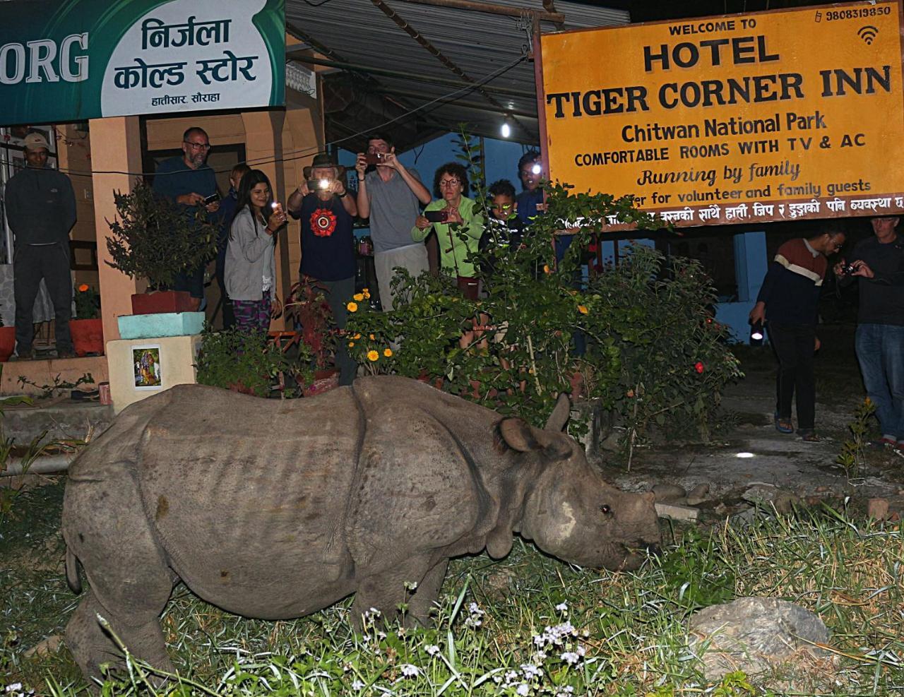 Tiger Corner Inn Homestay Sauraha Bagian luar foto