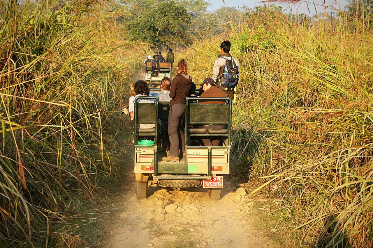 Tiger Corner Inn Homestay Sauraha Bagian luar foto